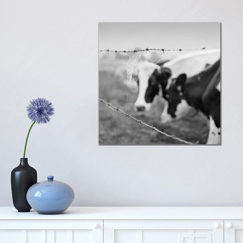 Holstein Cow by Chip Forelli - Wrapped Canvas Print