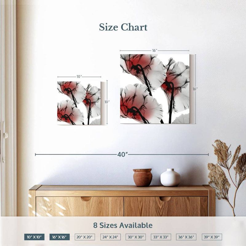Cyclamen lustré Arney Crimson, H 10 po x l 10 po