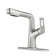 CASAINC Single-Handle Pull-Out Bathroom Faucet Single Hole Faucet with Deck Plate
