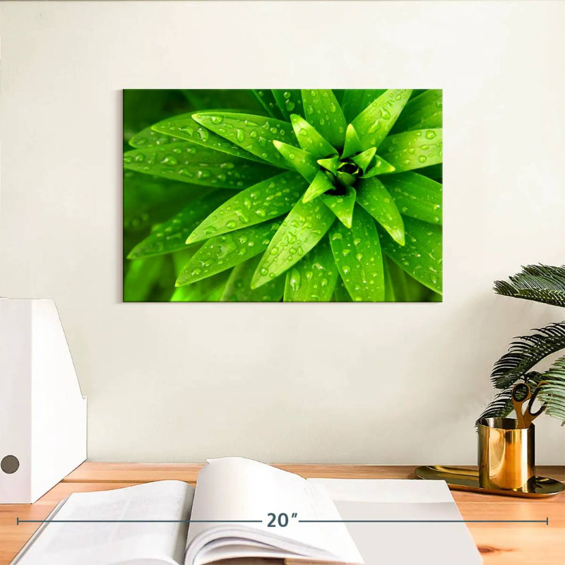 Gouttelettes Harnek sur feuilles vertes, H 8 po x l 12 po