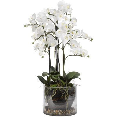 Agencements de fleurs orchidéess et de pièce maîtresse dans un plat en verre