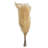26'' Plant