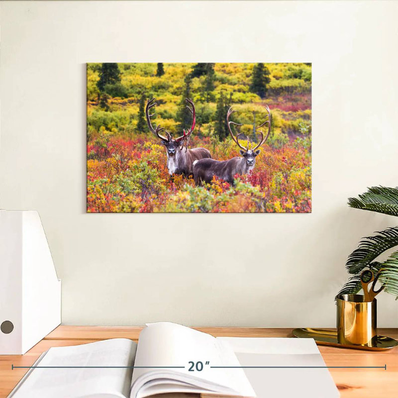 Brampt Caribou Pair, 8" H x 12" W
