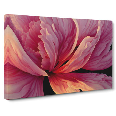 Riveting Carnation Flower - Wrapped Canvas