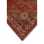 Tapis rouille Fine Fine Derrick