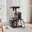 Aleny 42'' H Cat Tree-718051853