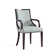 Elianys 18.5'' H Upholstered Beech Armchair