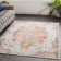 Assunta Oriental Indoor Rug