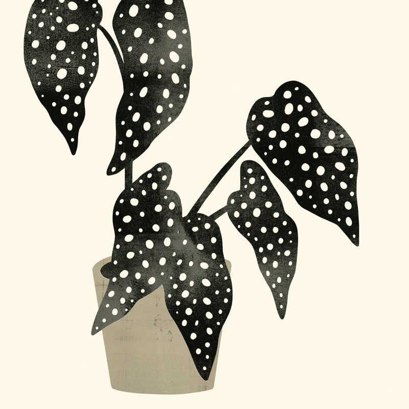 Plantling III by Victoria Barnes - Wrapped Canvas Painting, 51cm H x 51cm W