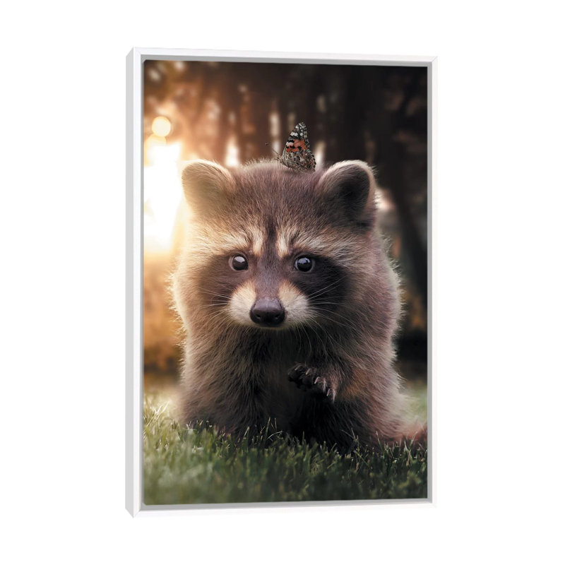 Raccoon Butterfly by Zenja Gammer - Print on Canvas, White Framed, 66.04 cm H x 45.72 cm W