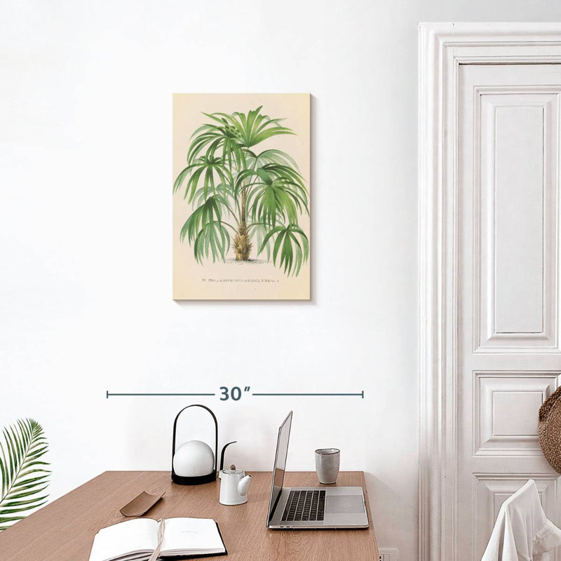 Harnek Palmier II, 24" H x 16" W