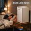 FXSGER Mini Fridge