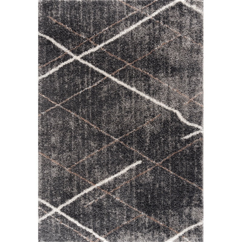 Tapis intérieur / gris à motif géométrique de 4 pi x 6 pi (3 pi 9 po x 5 pi 6 po) Branch Branch Arden, tapis contemporain, à poils longs et résistant aux taches