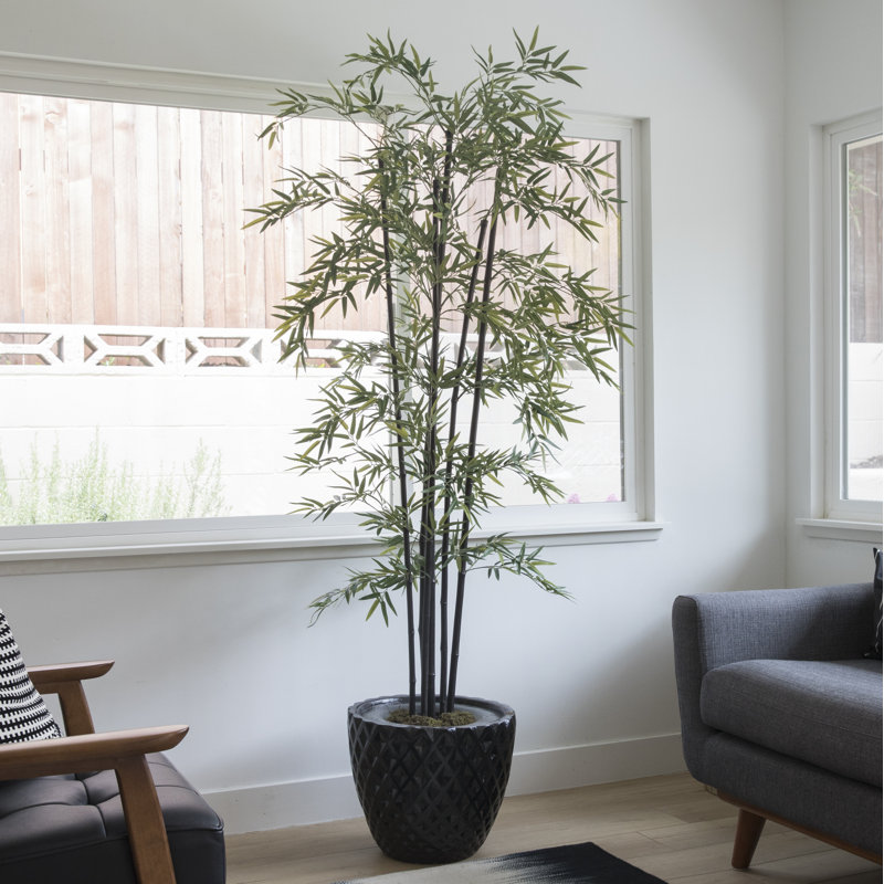 Bambou Panama Bannister
