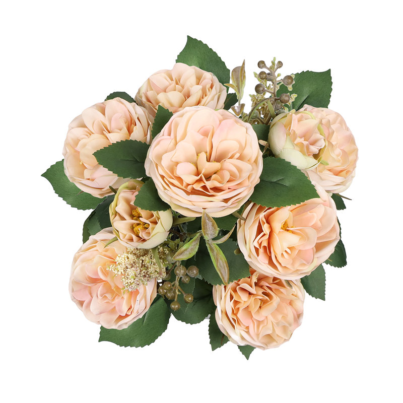 Chou rose, Ivoire, rosé
