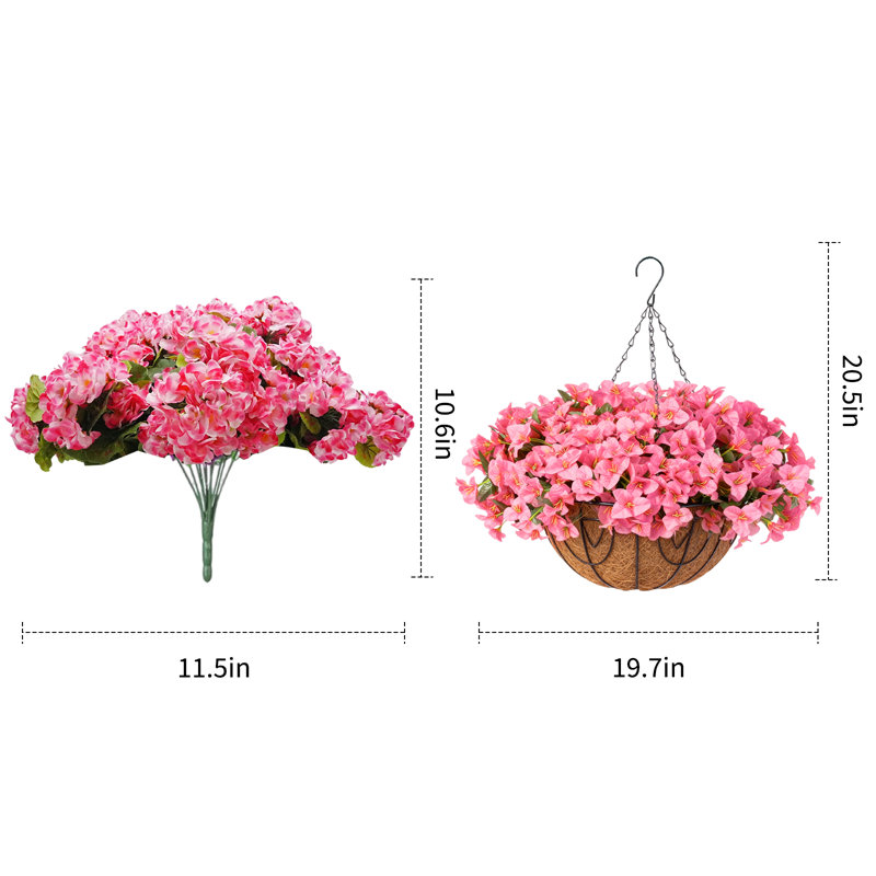 52cm Plant