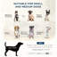 Canapé gris pour chien - lit surélevé avec compartiment caché pour le rangement des chiens de petite et moyenne taille, rangement confortable des coussins, assemblage facile