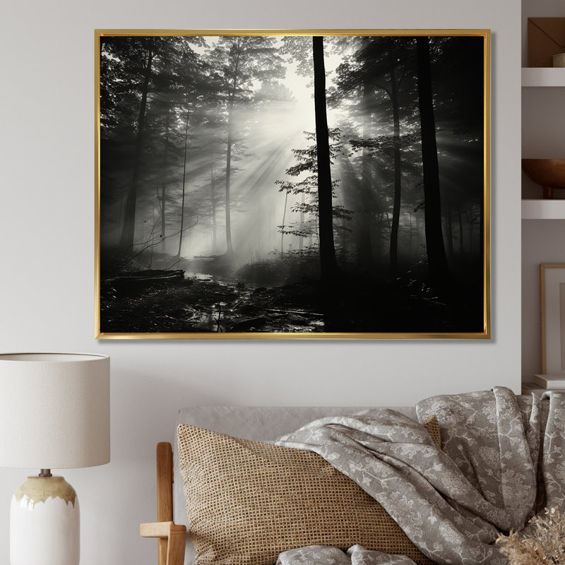 «Black and White Forest Silence», photographie encadrée, Cadre flottant doré, 34" H x 44" W