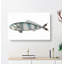 Pilot Mackerel Fish by George Shaw - Wrapped Canvas Painting Print-55330496