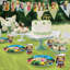 Tinker Bell Birthday Party Supplies Tableware Set