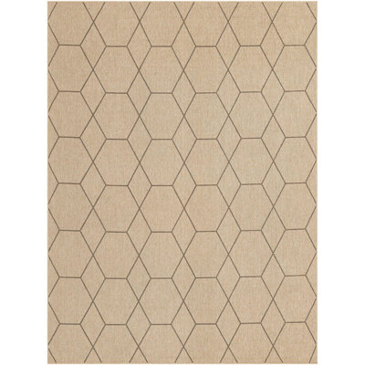 Sheglita Abstract Indoor Rug