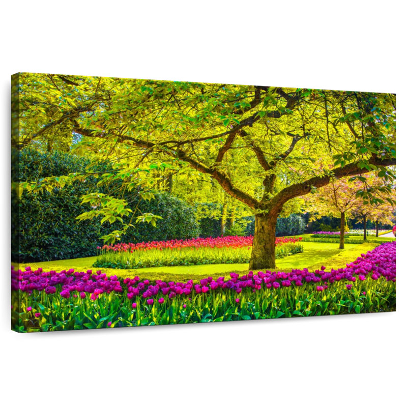 Parc de jardin Sireci Keukenhof, H 32 po x l 48 po