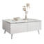 Amelie Coffee Table with Storage