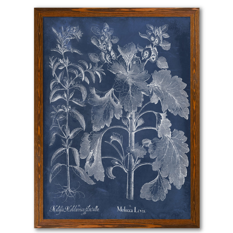 «Besler Leaves in Indigo I» par Paul Cezanne - reproduction d'art encadrée, H 30 po x l 22 po x P 1 po