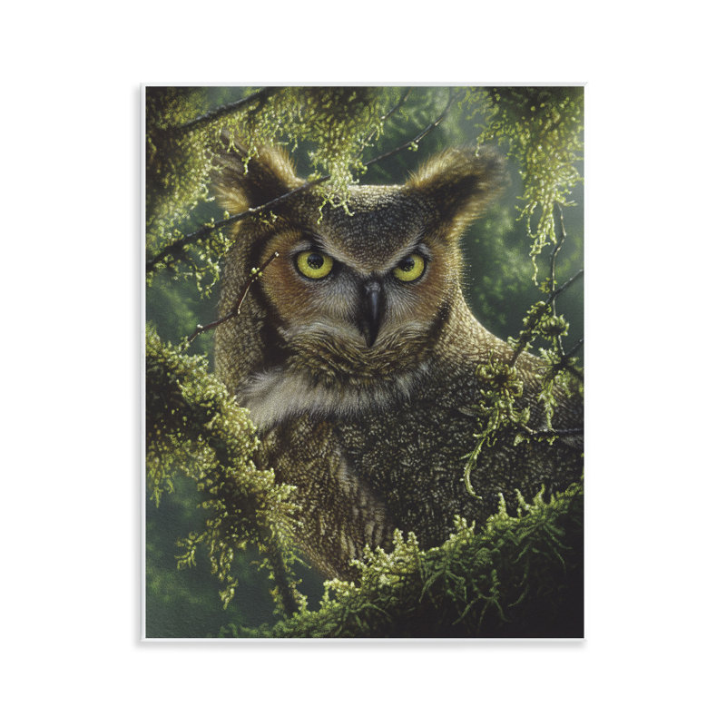 «Watch And Waiting Owl», plaque murale par Collin Bogle