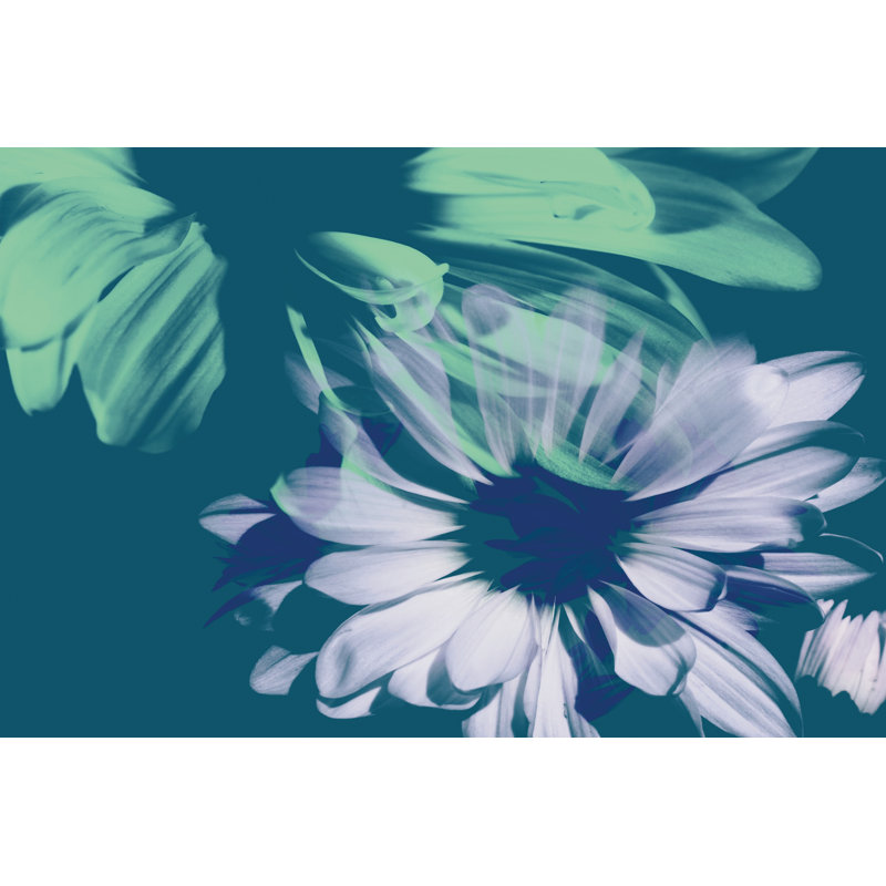 Teal Bloom I by A. Project - Wrapped Canvas Painting, 61cm H x 91cm W