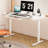 Adjustable Height Steel Standing Desk-1508301582-1485697096
