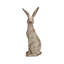Ensemble de statue de lapin Viviano