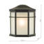 Edwin Black Outdoor Wall Lantern