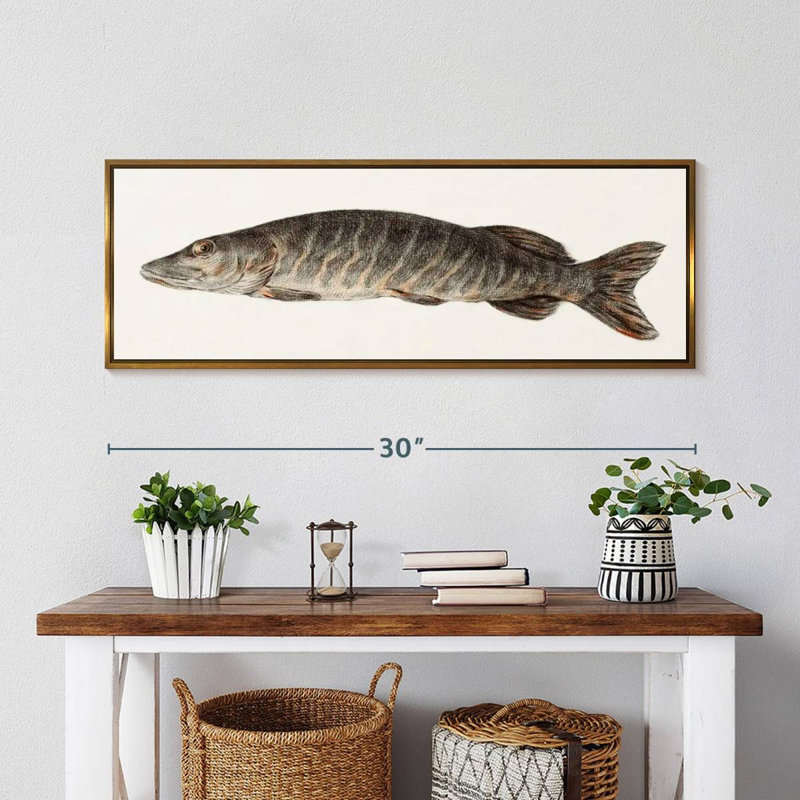 Brochet, 31 po x 11 po, Floating Frame Gold