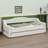 Upholstered Daybed With LED Belt And Trundle-743968745