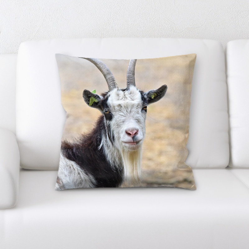 Housse et insert de coussin Goat