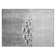 Loreen Animal Print Indoor / Outdoor Rug