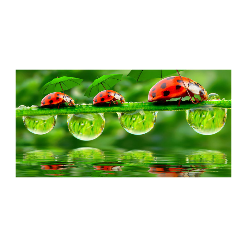 Ladybug Umbrellas - No Frame Print on Canvas