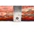 Anadol Red Rug 4'4" x 6'3"