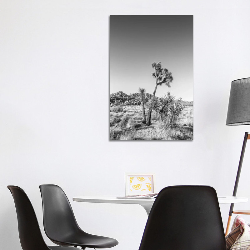 Joshua Tree National Park Monochrome by Melanie Viola - Wrapped Canvas Print, 101.6 cm H x 66.04 cm W x 3.175 cm D