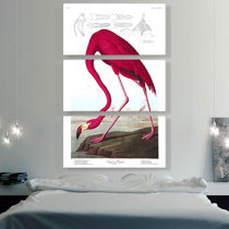 Audubon's American Flamingo Print - Archival Paper & Distressed Frames