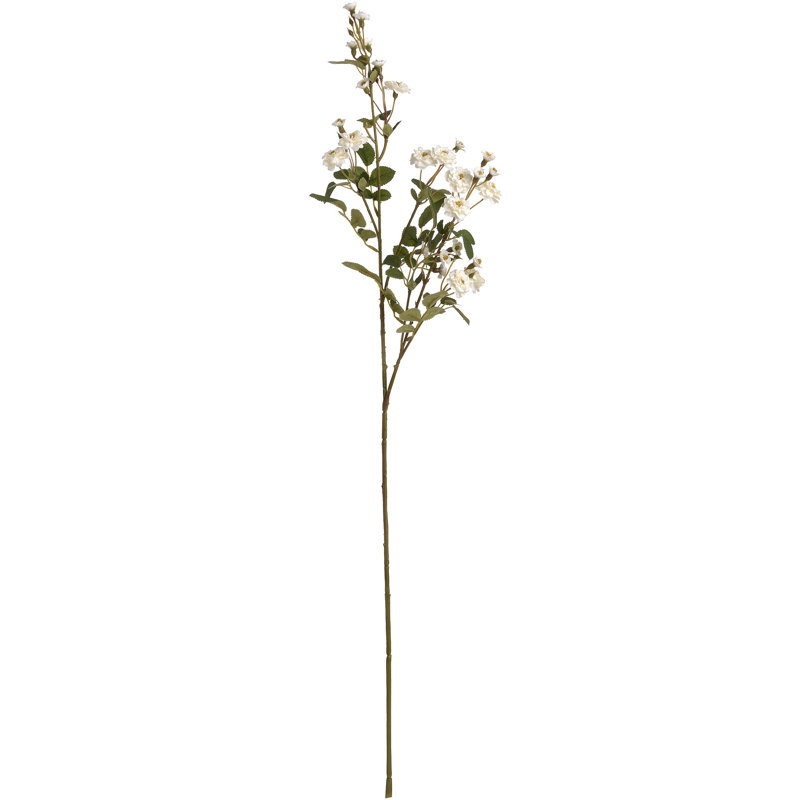 Arrangement, White
