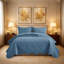 Floral Embossed Microfiber Quilt Set Pre-Washed  Soft Bedspread-123079069-123079071