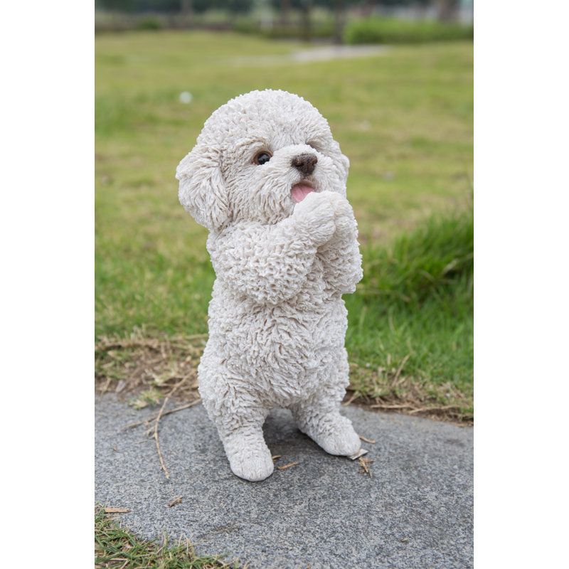 Chiot caniche jouant