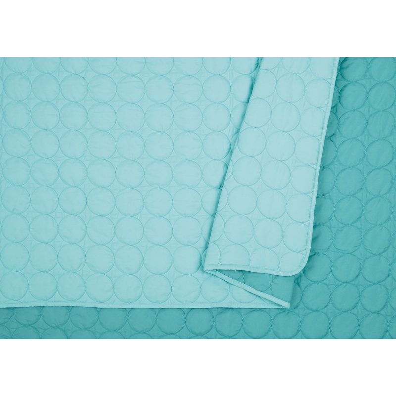 Aqua Blue Twin Reversible Microfiber Kids Quilt Set