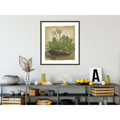 «Touft of Cowslips» par Albrecht Dürer, impression giclée sur cadre