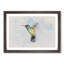 Hummingbird Paint Smudge - Framed Print-56735900-56735903