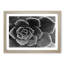 Succulent Plant - Picture Frame Painting Print-55613515-55613519