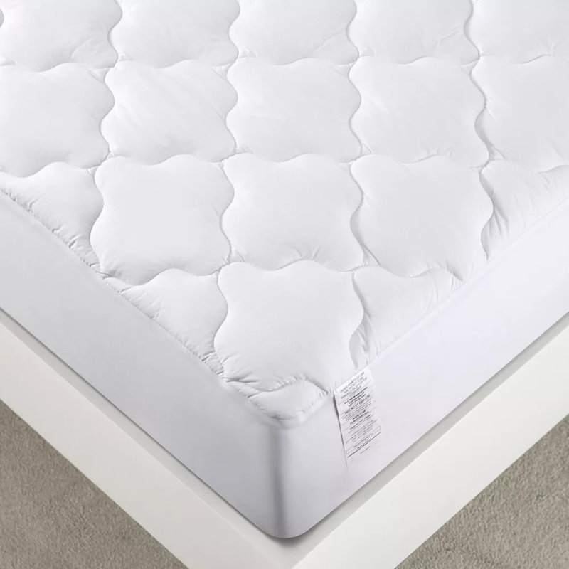 Raymond Waterproof Fitted Mattress Protector Case Pack, Queen