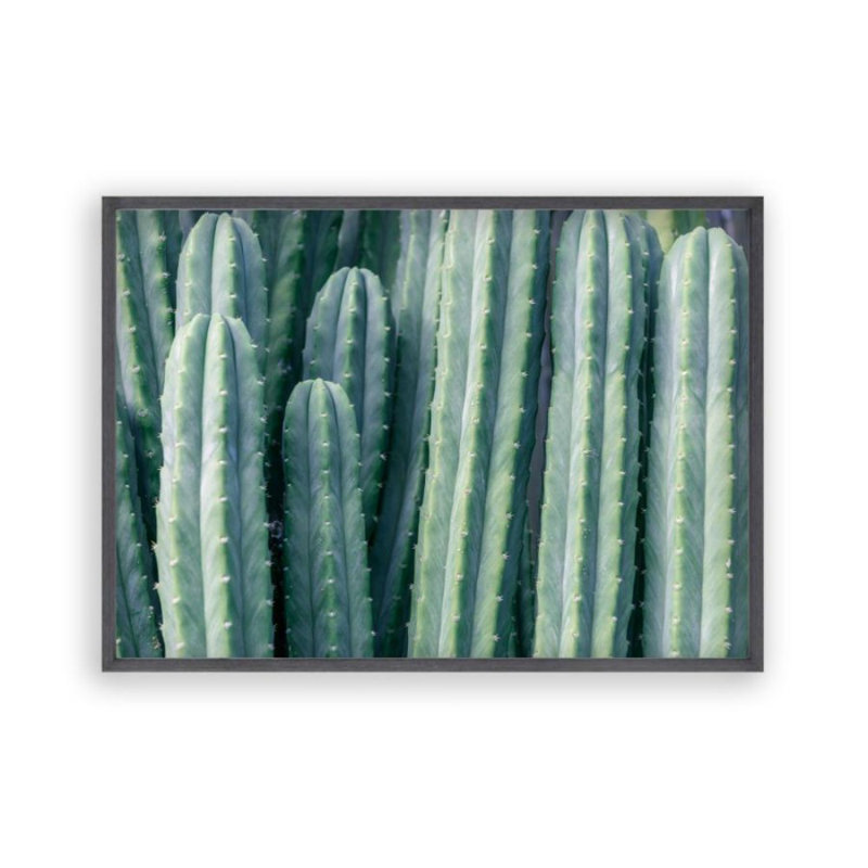 Print, Black Oak Frame, 31 cm H x 41 cm W x 2.5 cm D